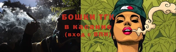 spice Карпинск