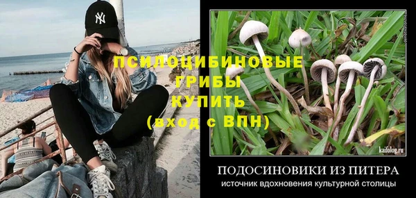 спиды Касимов
