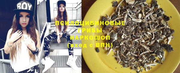 spice Карпинск