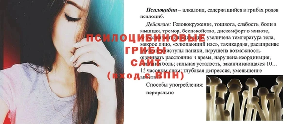 спиды Касимов