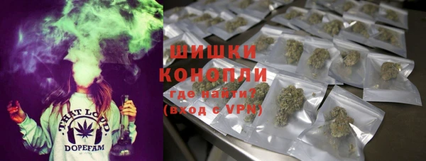 spice Карпинск