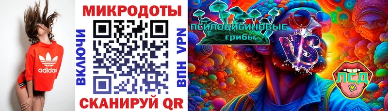 Псилоцибиновые грибы мицелий Купить закладки Галич