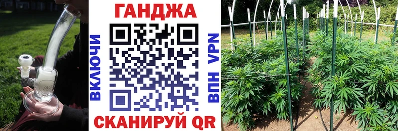 Купить закладки  Галич  Бошки марихуана OG Kush 